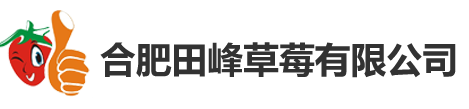 合肥田峰草莓有限公司