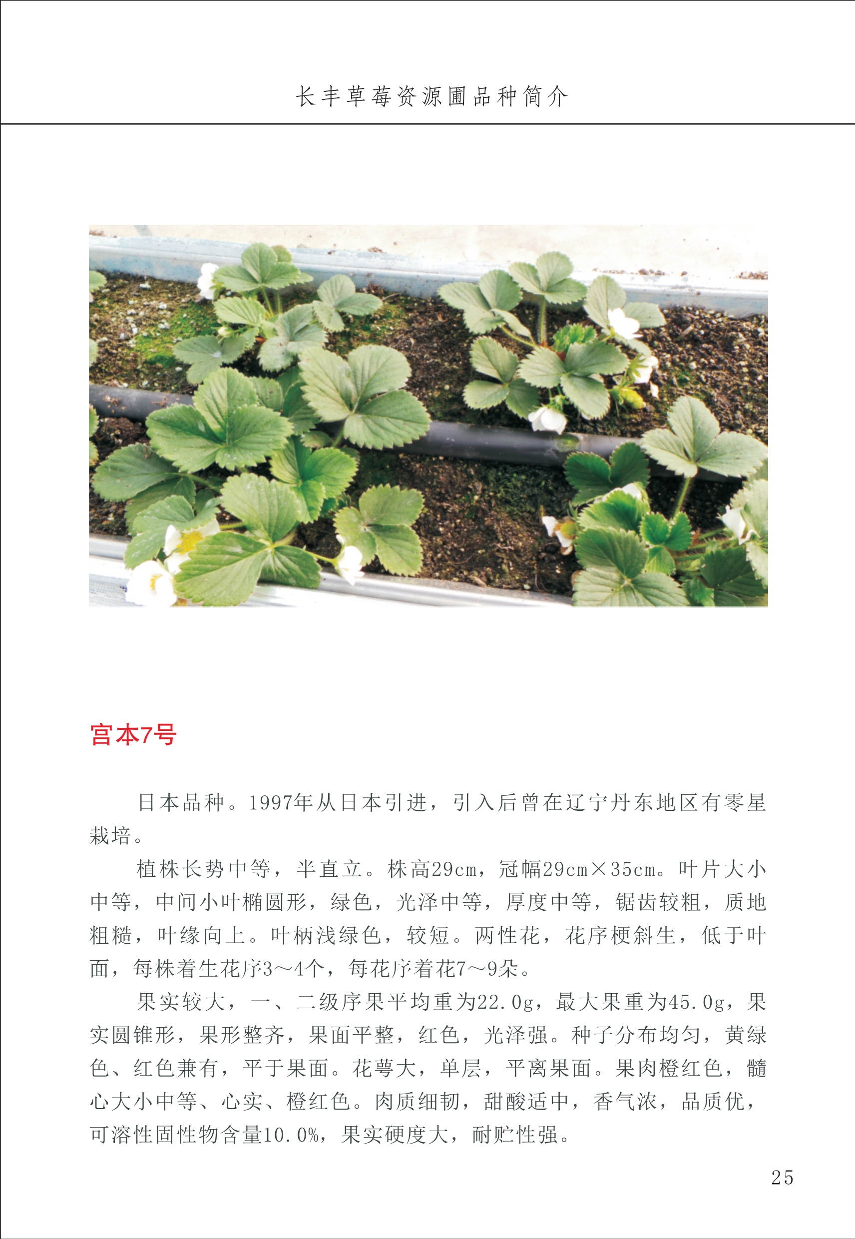 长丰农技中心1_29.jpg