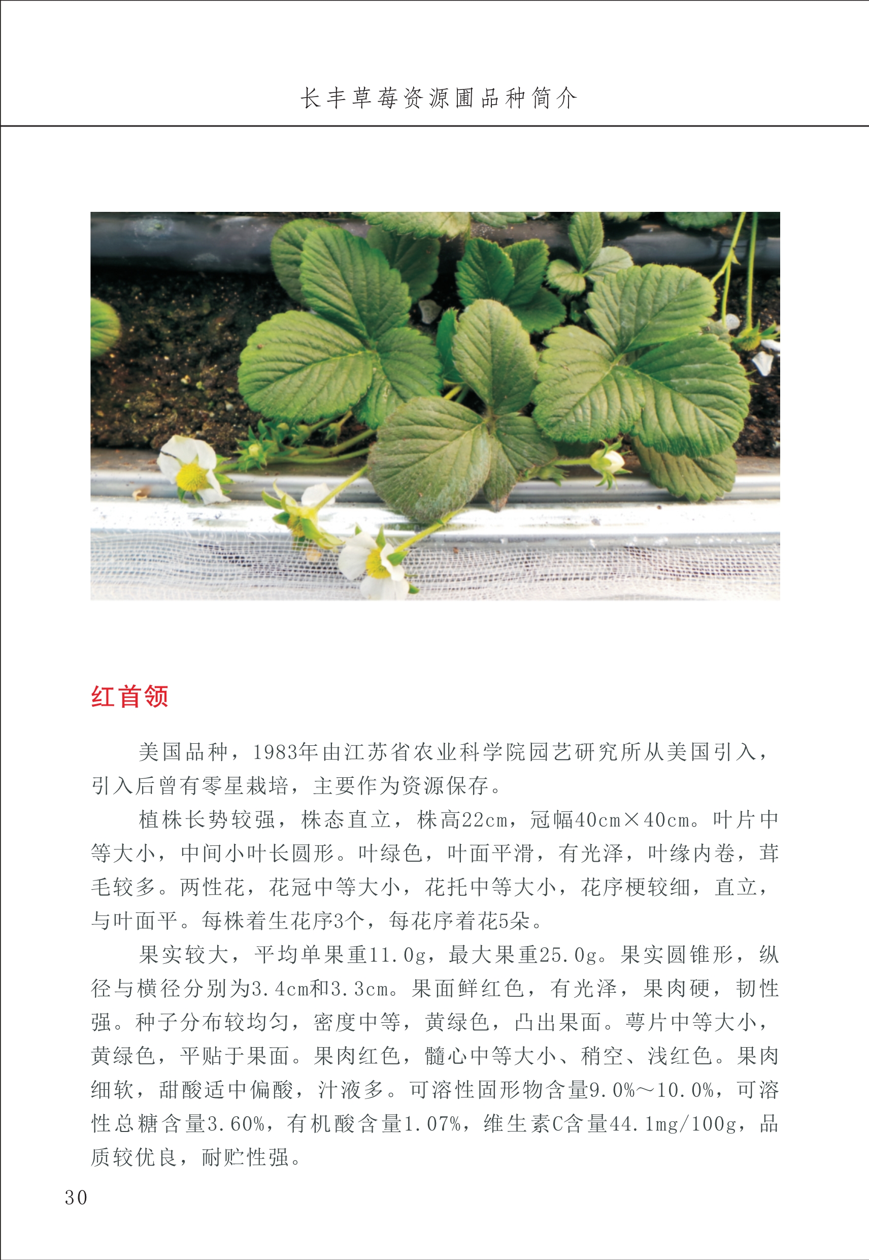 长丰农技中心1_34.jpg