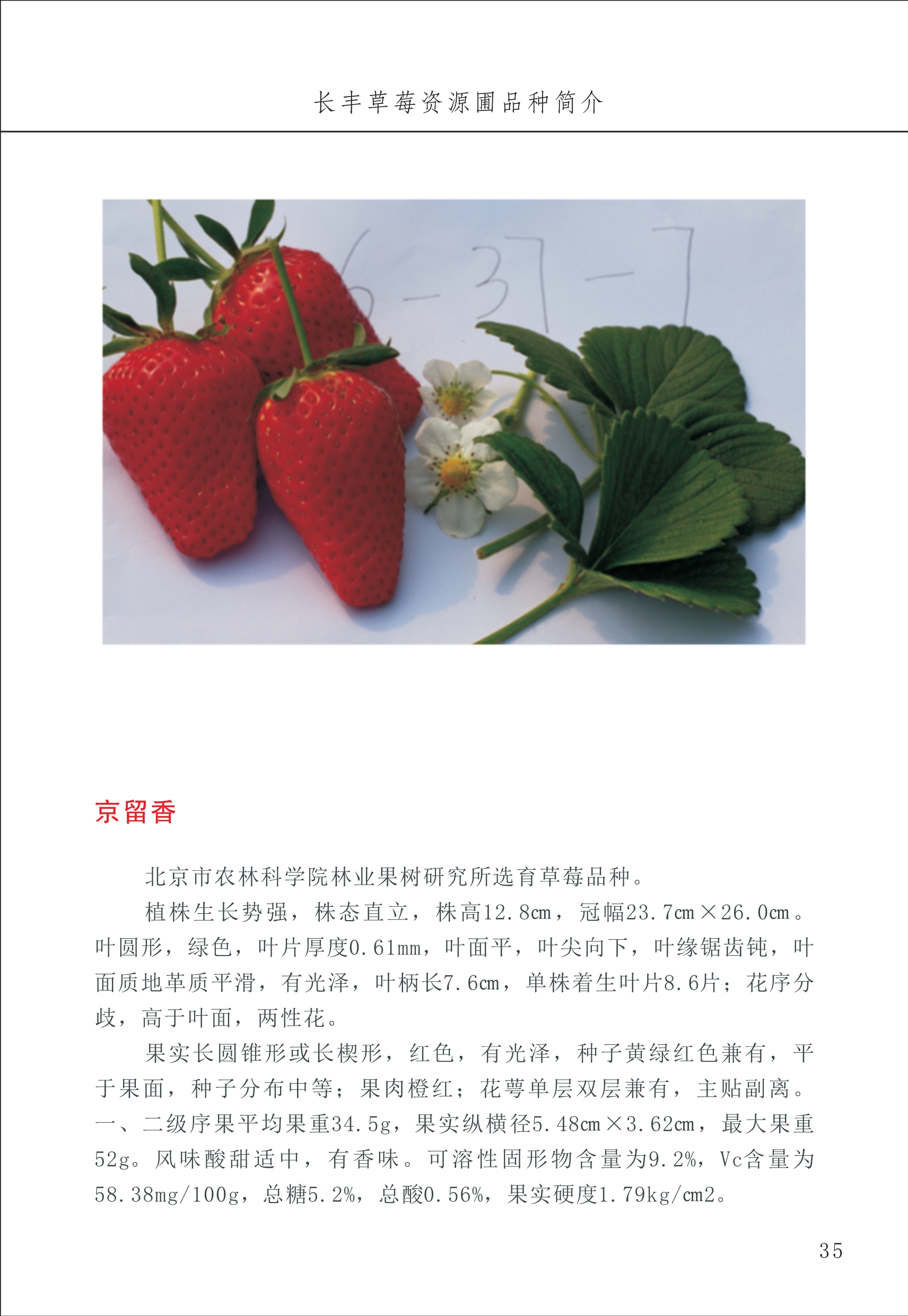 长丰农技中心1_39.jpg