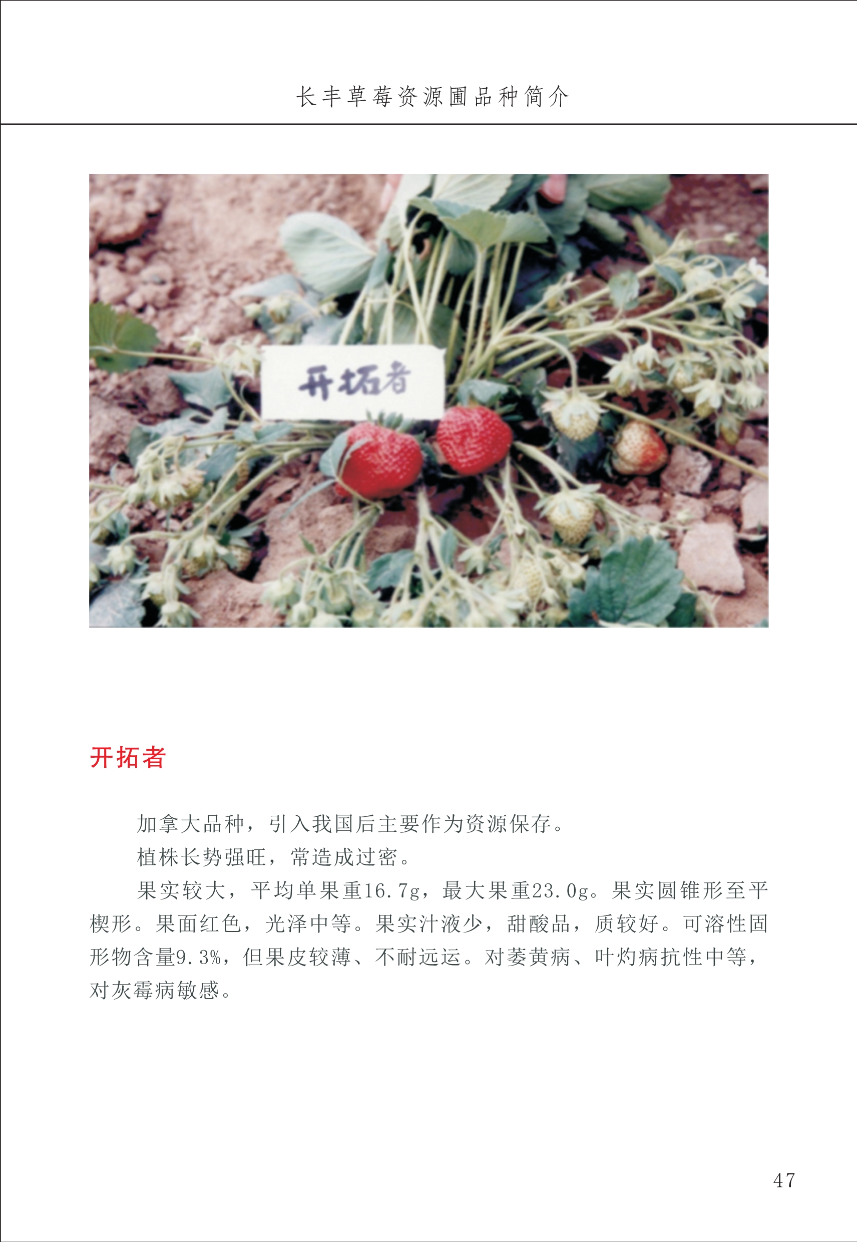 长丰农技中心1_51.jpg