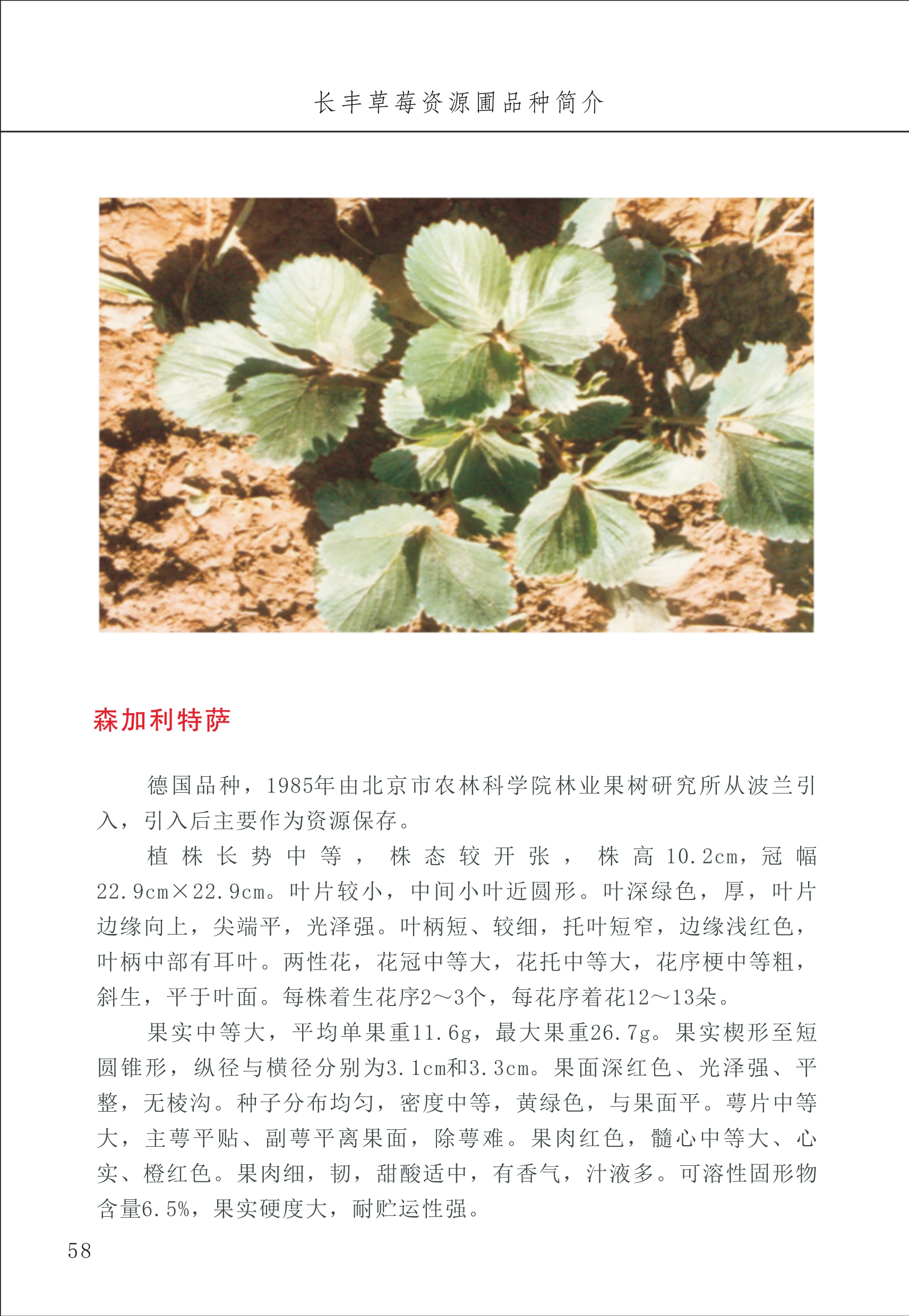 长丰农技中心1_62.jpg