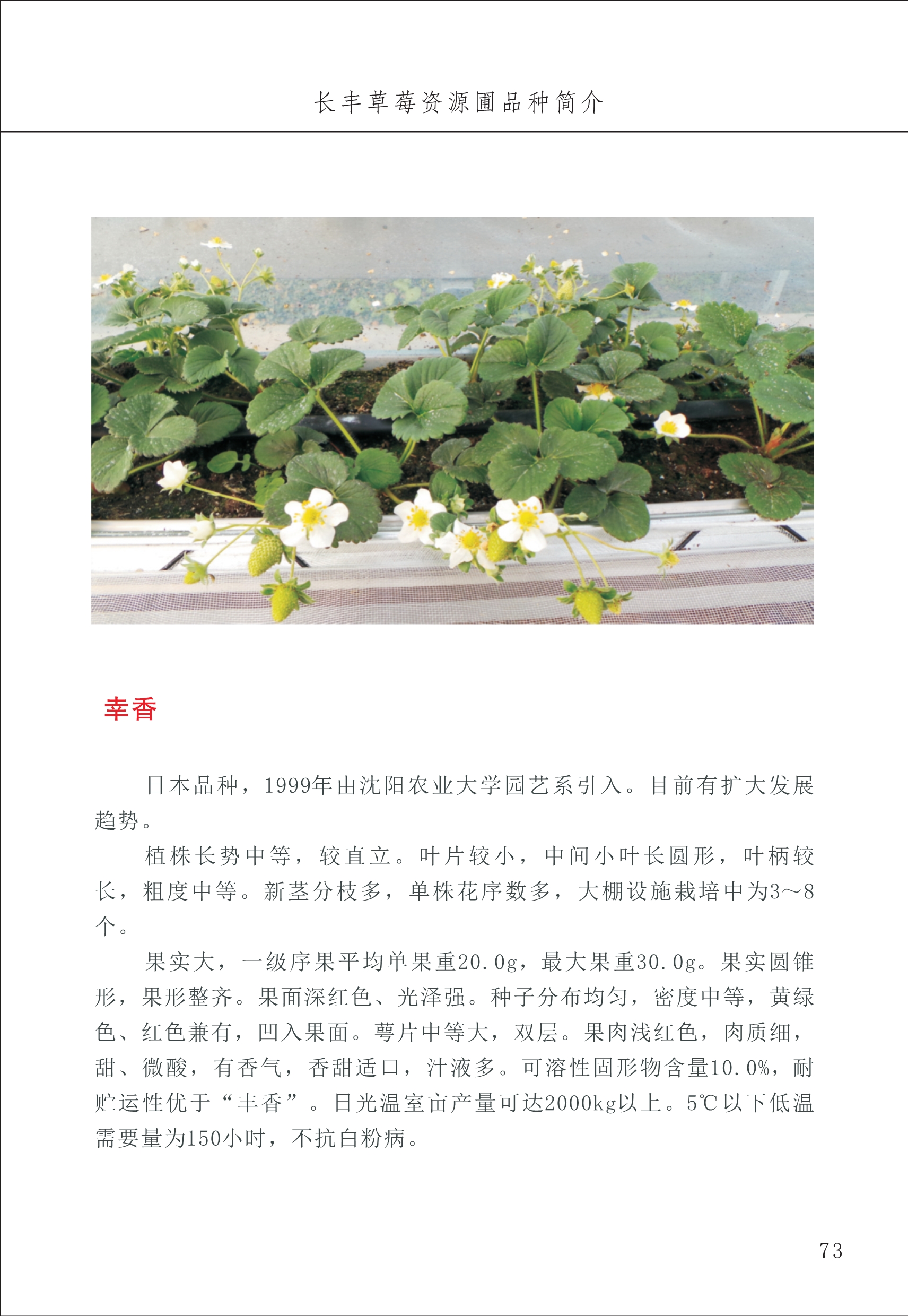 长丰农技中心1_77.jpg