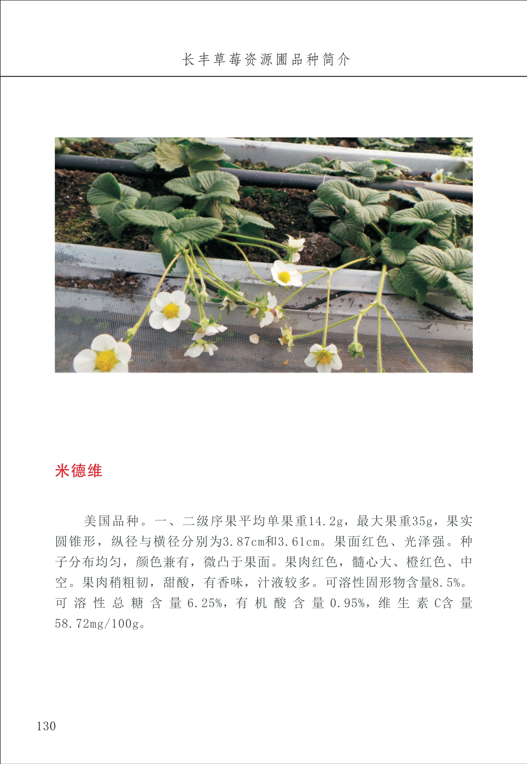 长丰农技中心2_30.jpg
