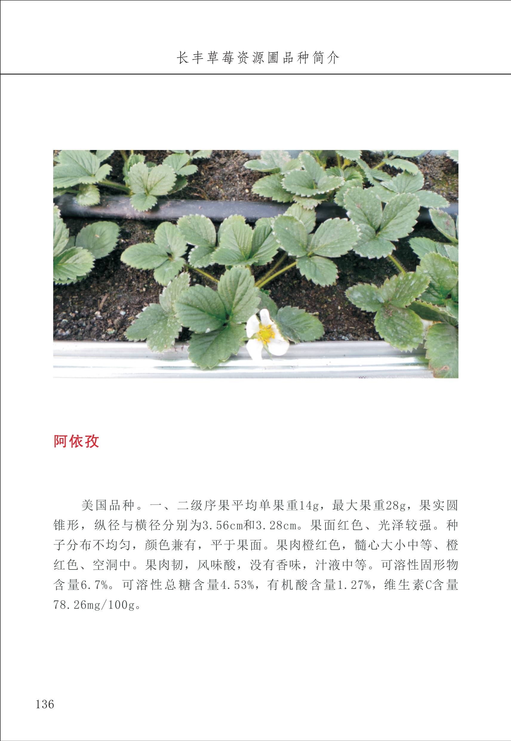 长丰农技中心2_36.jpg