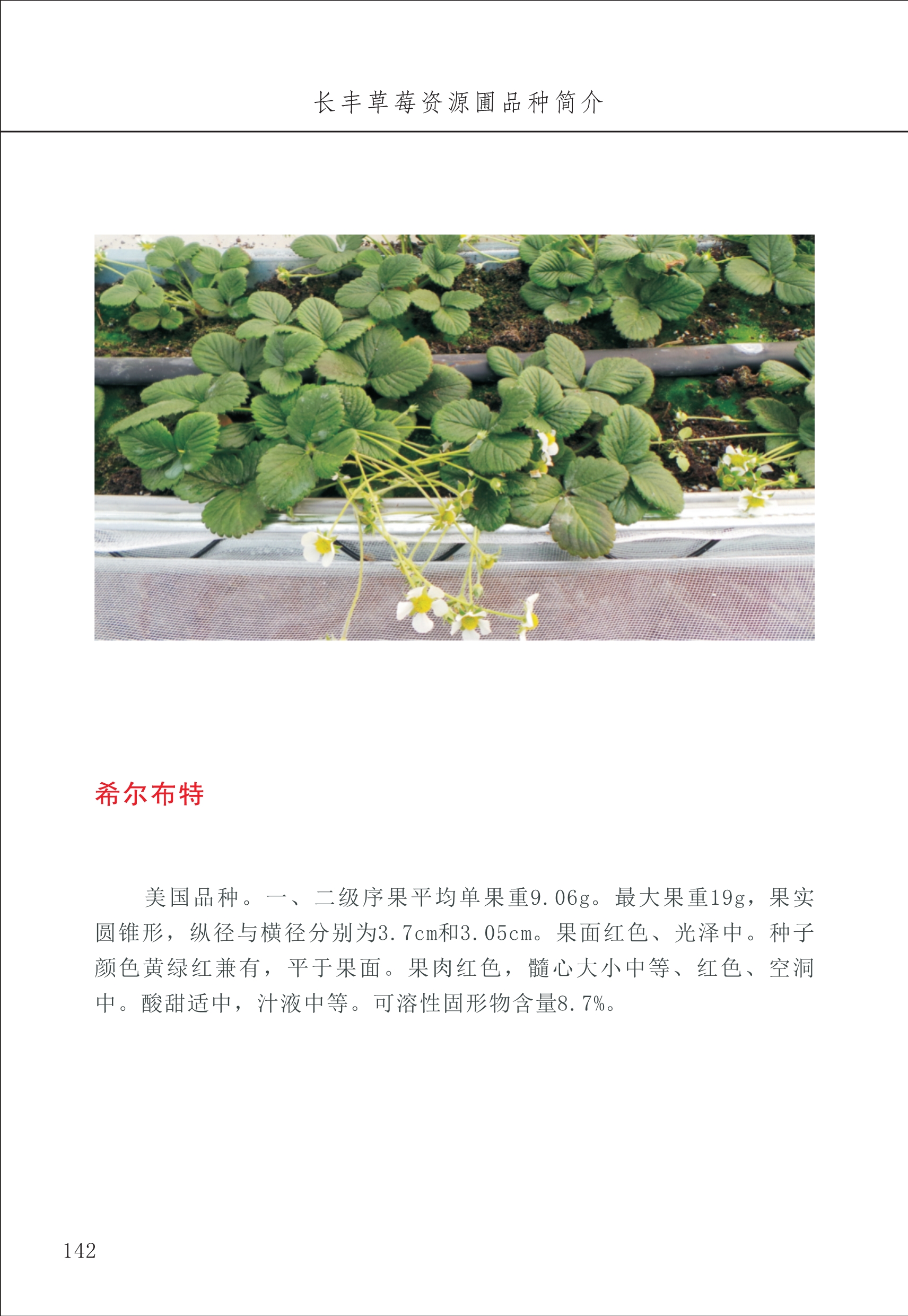 长丰农技中心2_42.jpg