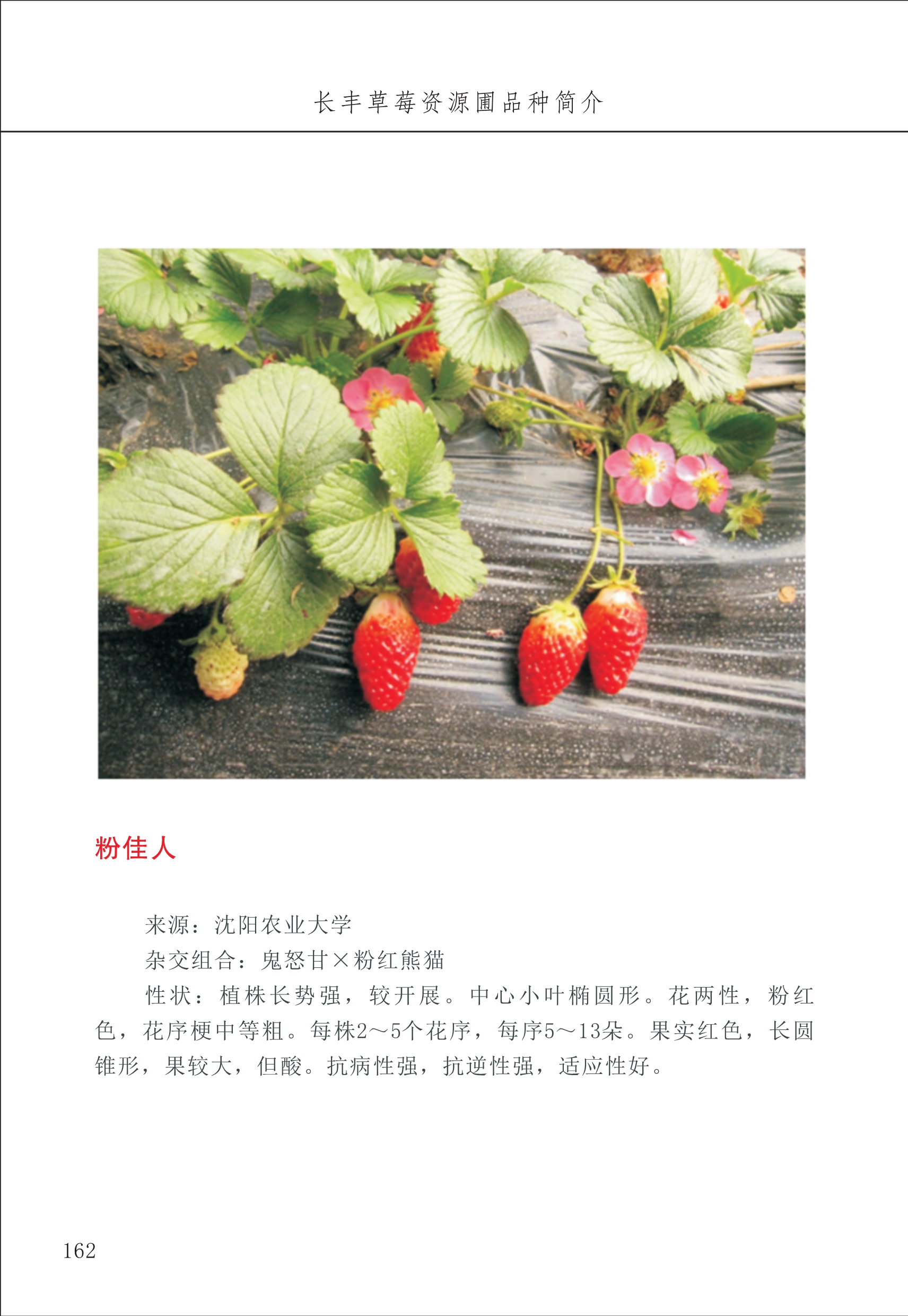 长丰农技中心2_62.jpg
