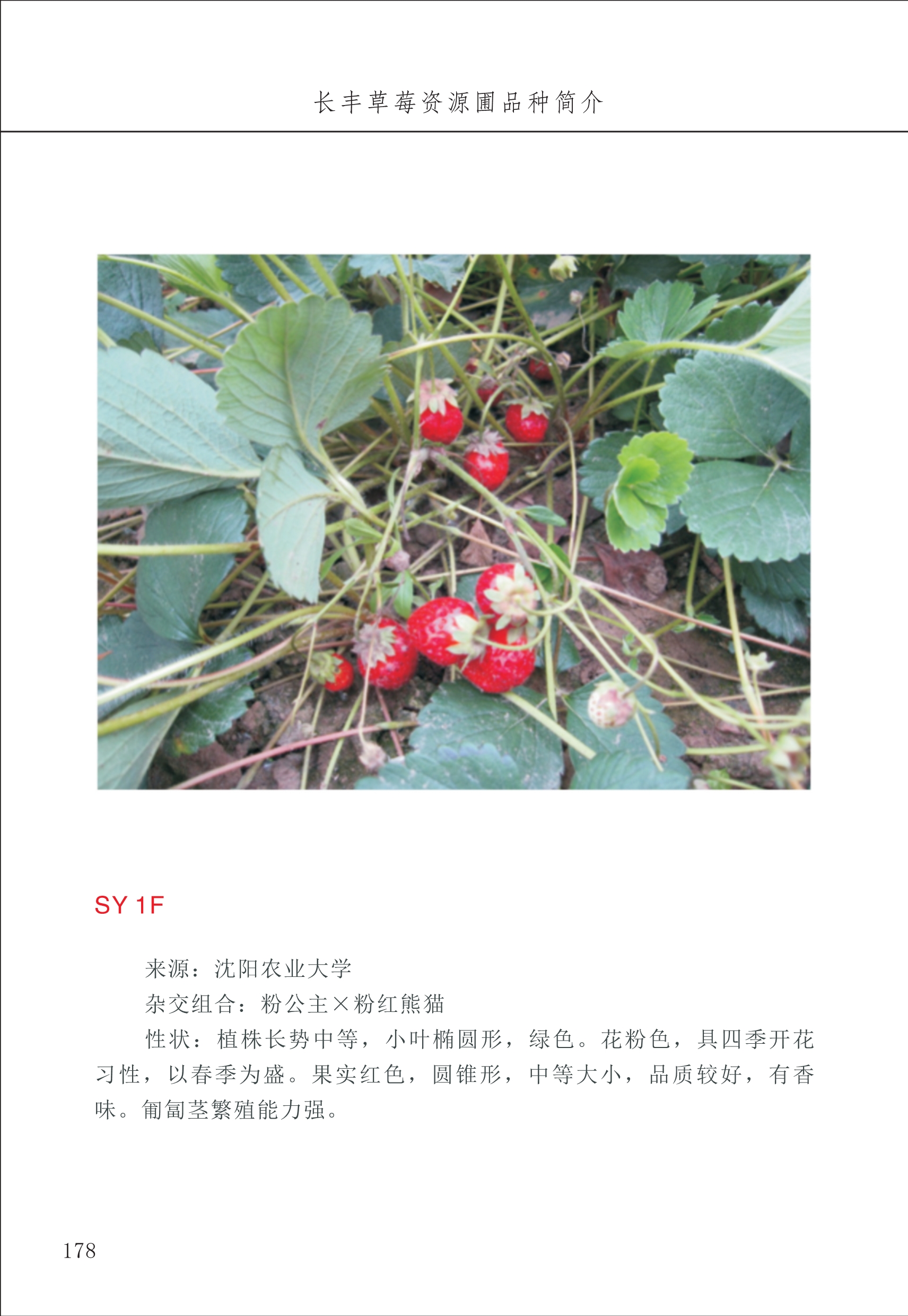 长丰农技中心2_78.jpg