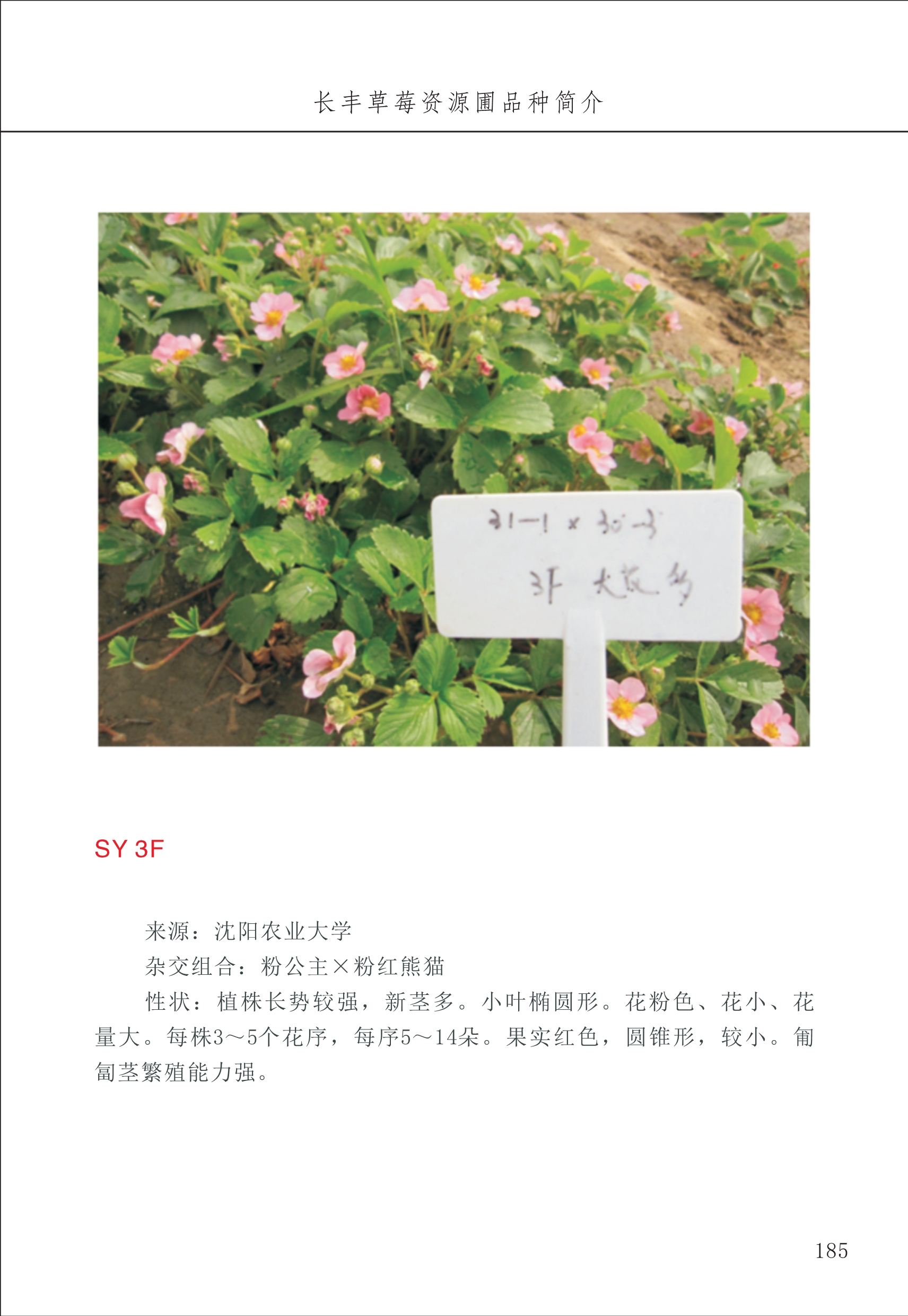 长丰农技中心2_85.jpg