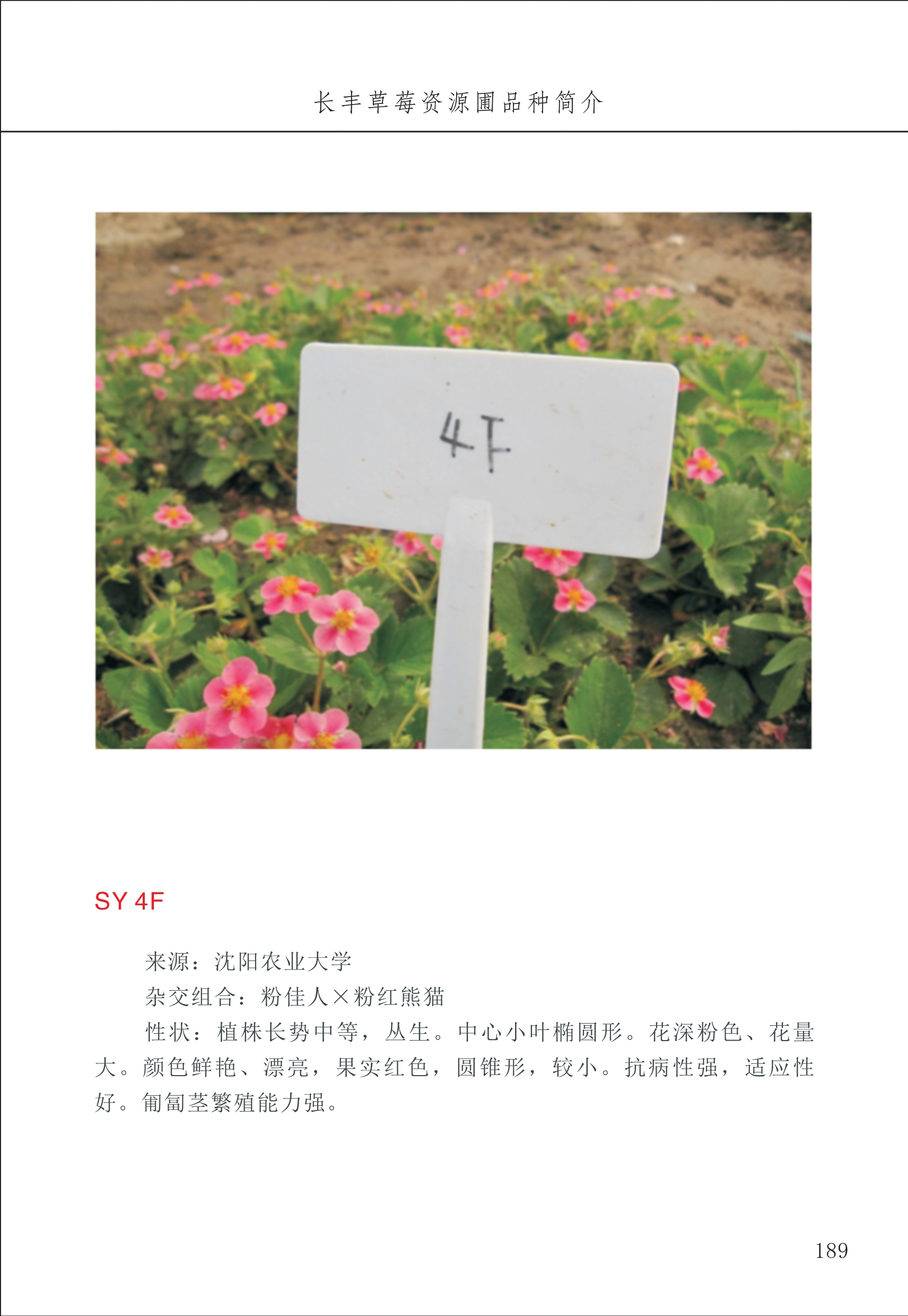 长丰农技中心2_89.jpg
