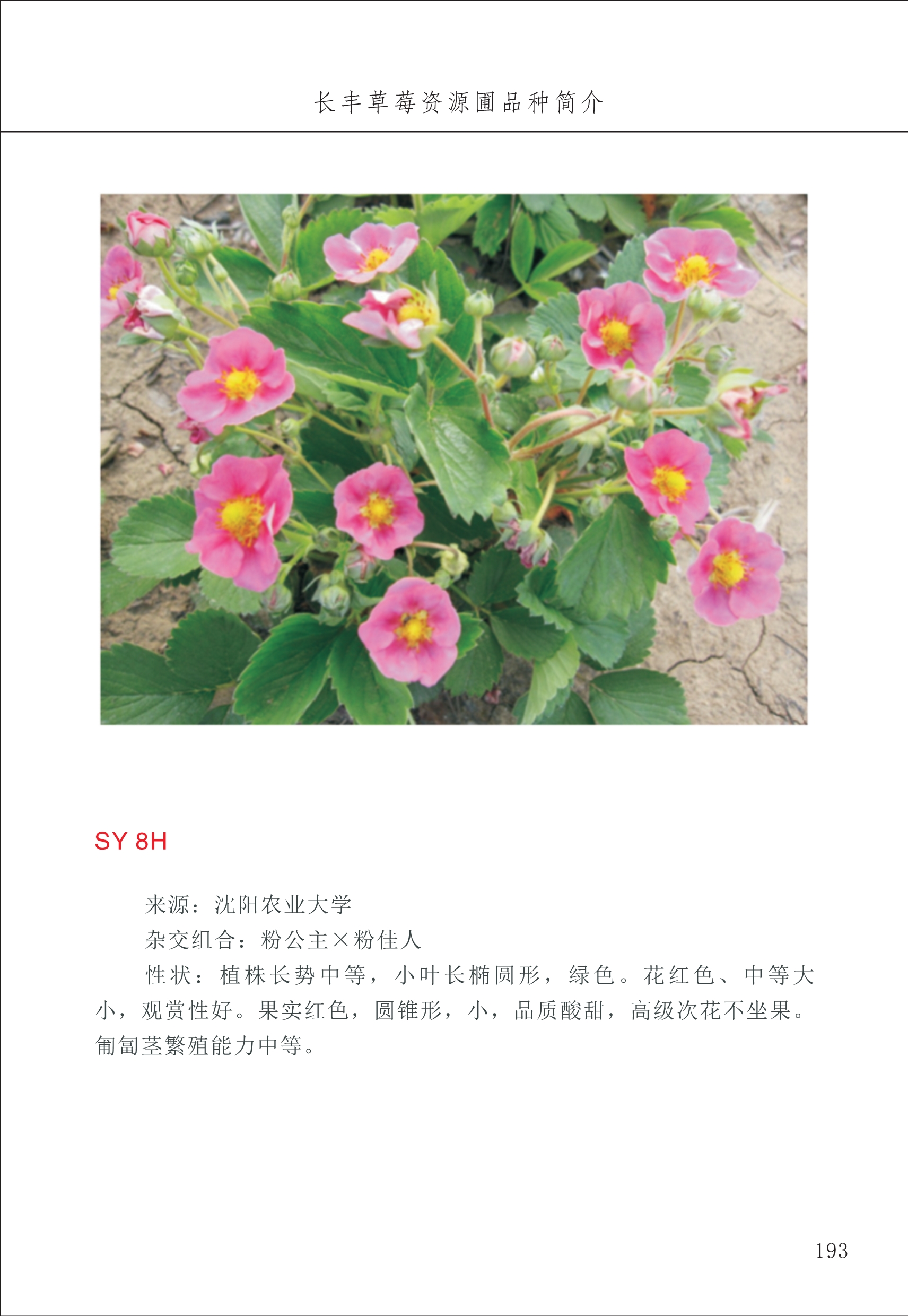 长丰农技中心2_93.jpg