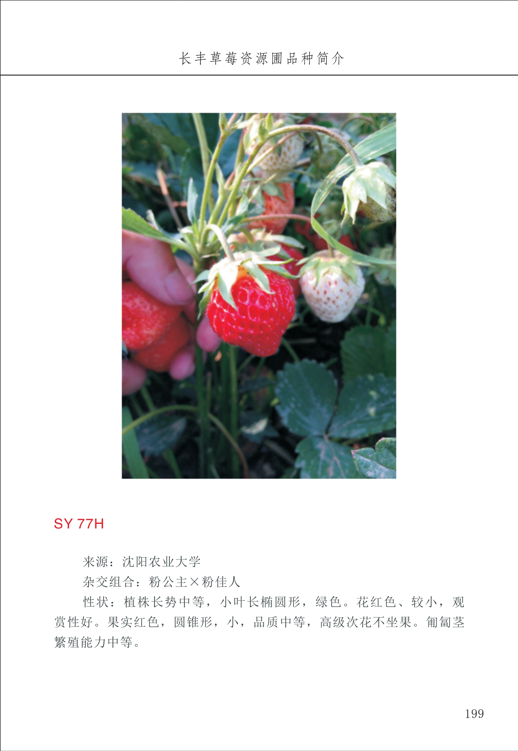 长丰农技中心2_99.jpg