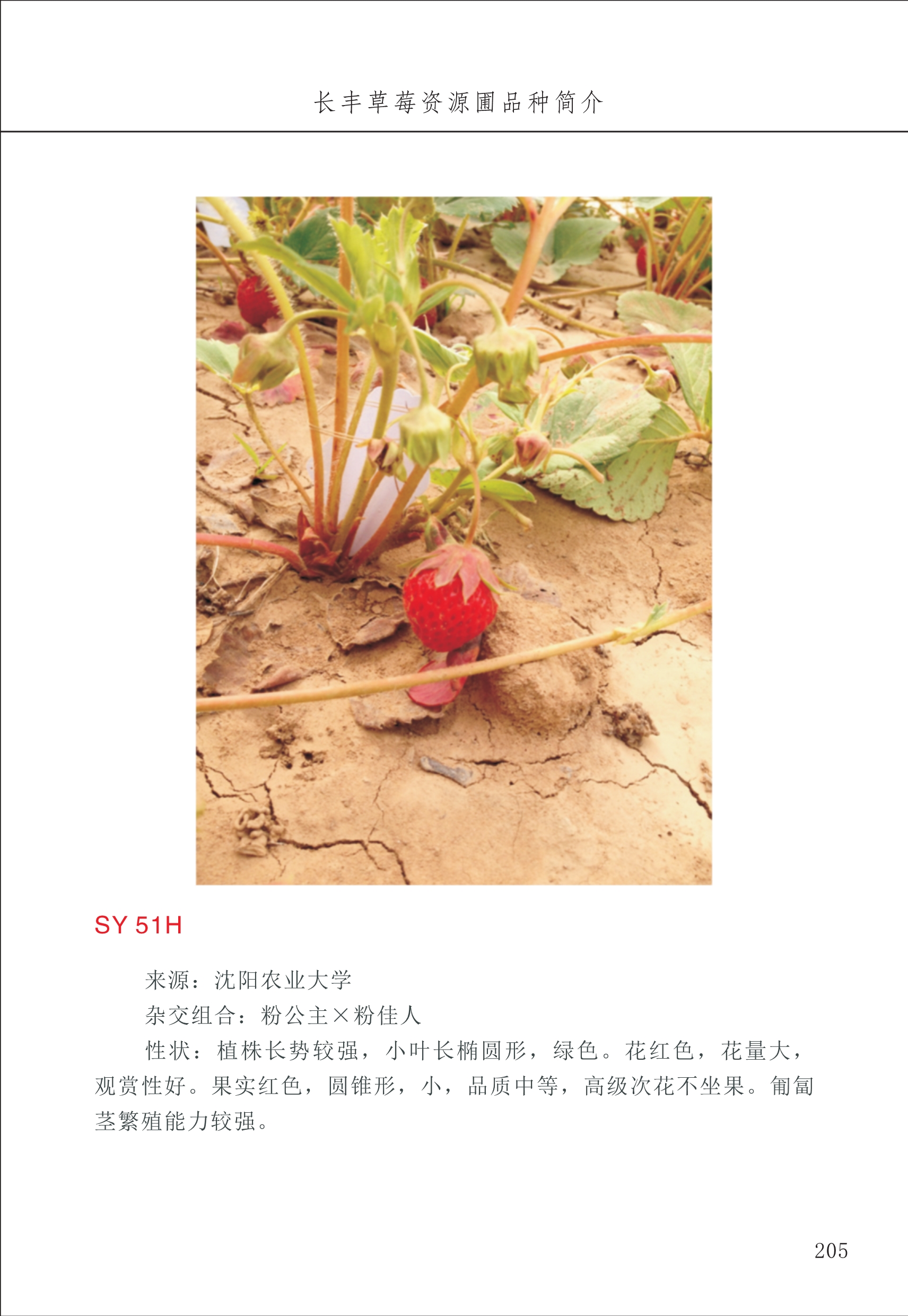 长丰农技中心3_5.jpg