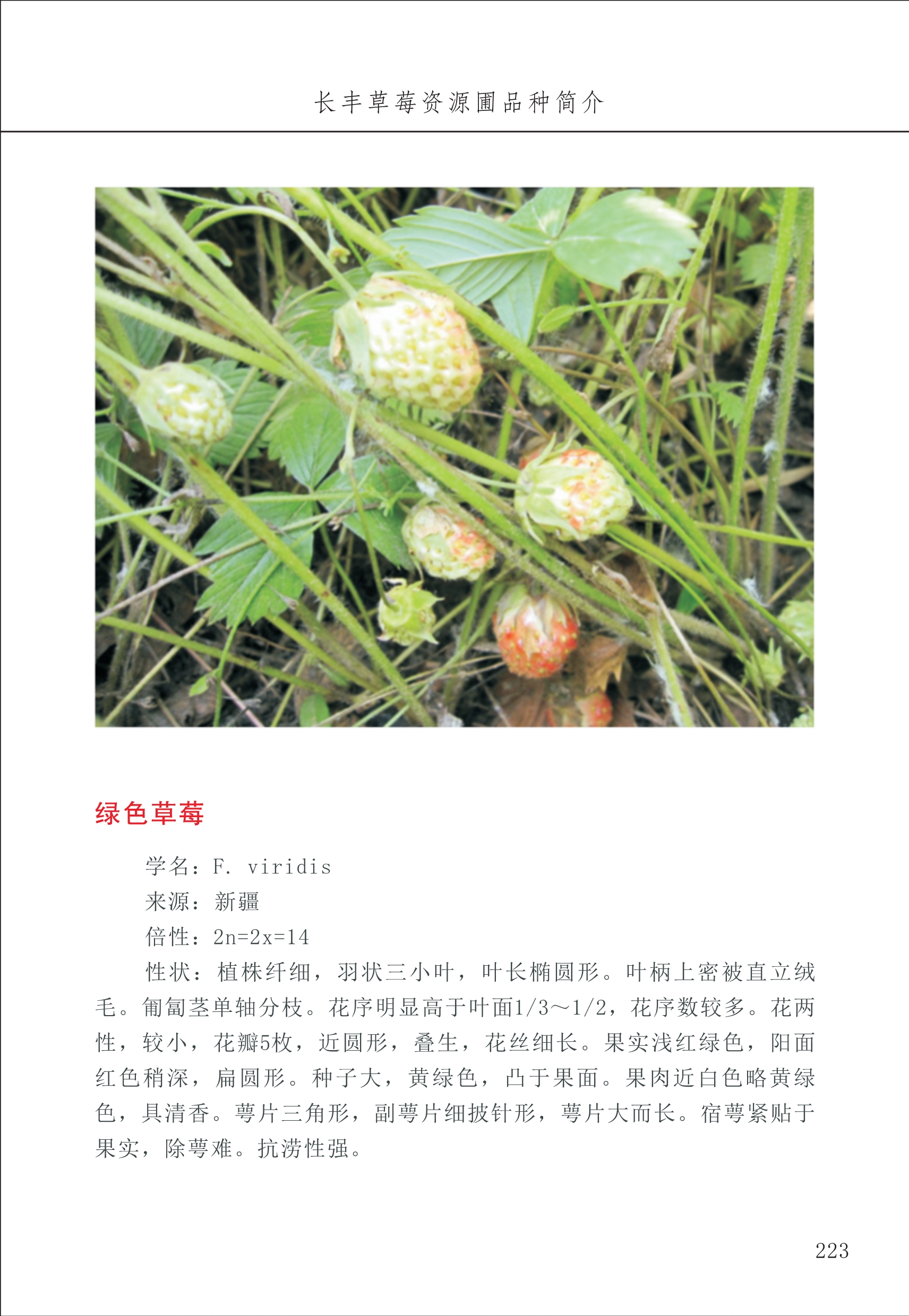 长丰农技中心3_23.jpg